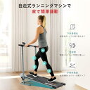 Sunny Health & Fitness (サニーヘルス&フィットネス) 折りたたみ式トレッドミル マニュアルコンパクトミニトレッドミル グレー ウォーキングランニングマシン 電源不要 自宅オフィス用の有酸素運動機器 SF-T1407M