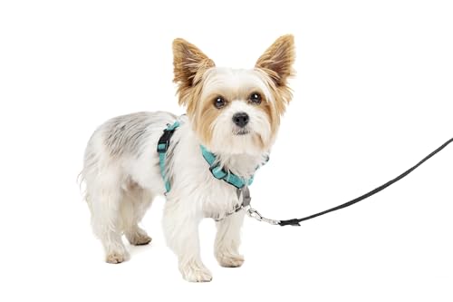 PetSafe（ペットセーフ） 犬用ハーネス 3in1ハーネス ティール（グリーン） XSサイズ
