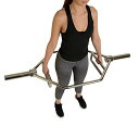 Sunny Health & Fitness (サニーヘルス&フィットネス) ストレングストレーニングオリンピック六角バー バーベル シルバー デッドリフトとシュラッグ用 OB-HEX