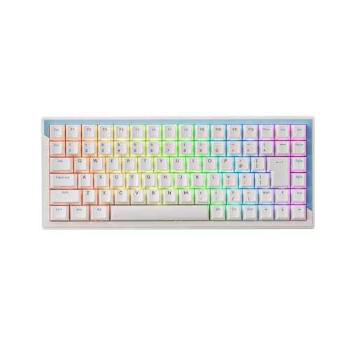 DrunkDeer G75 ラピッドトリガーキーボード eスポーツゲーミングキーボード 磁気スイッチ 調整可能なア..