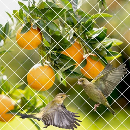 DANOFY 防鳥ネット 2m×3m ベランダ 鳥よけネット - 15mm目合 ナイロン 網 鳩 カラス 鳥害対策 ブルーベ..