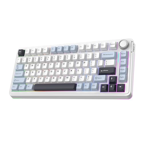 EPOMAKER EA75 75% RGB 無線ゲーミングメカニカルキーボード ノブ付き 2.4GHz/Type-C/Bluetooth クリー..