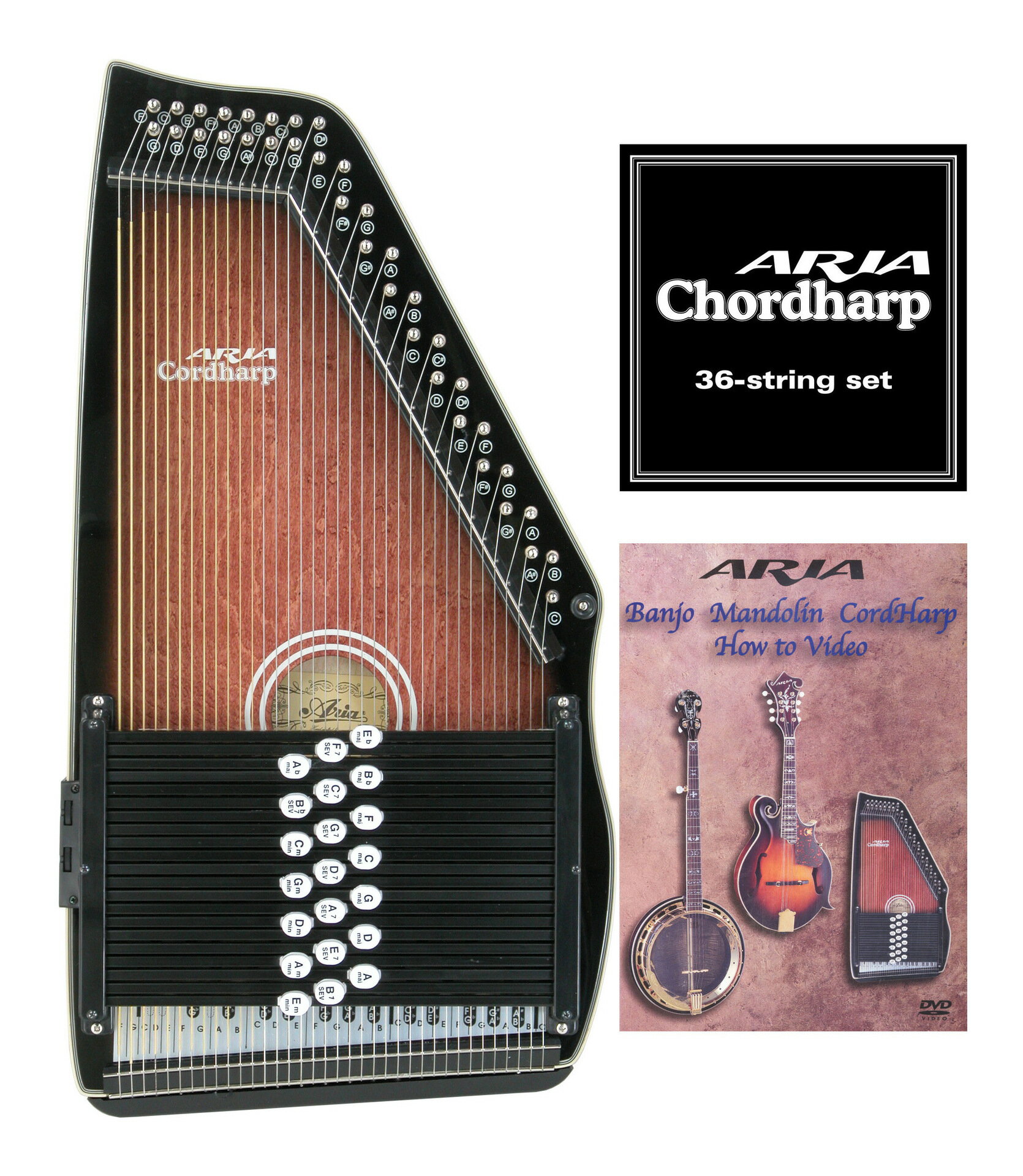 アリア ARIA ACH-21E+専用弦+教則DVD コードハープ/オートハープ 【送料無料】
