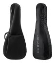 basiner BRISQ-AGDJ Neo Black + 純正レインカバー アコースティックギター用 ギグバッグ【送料無料】