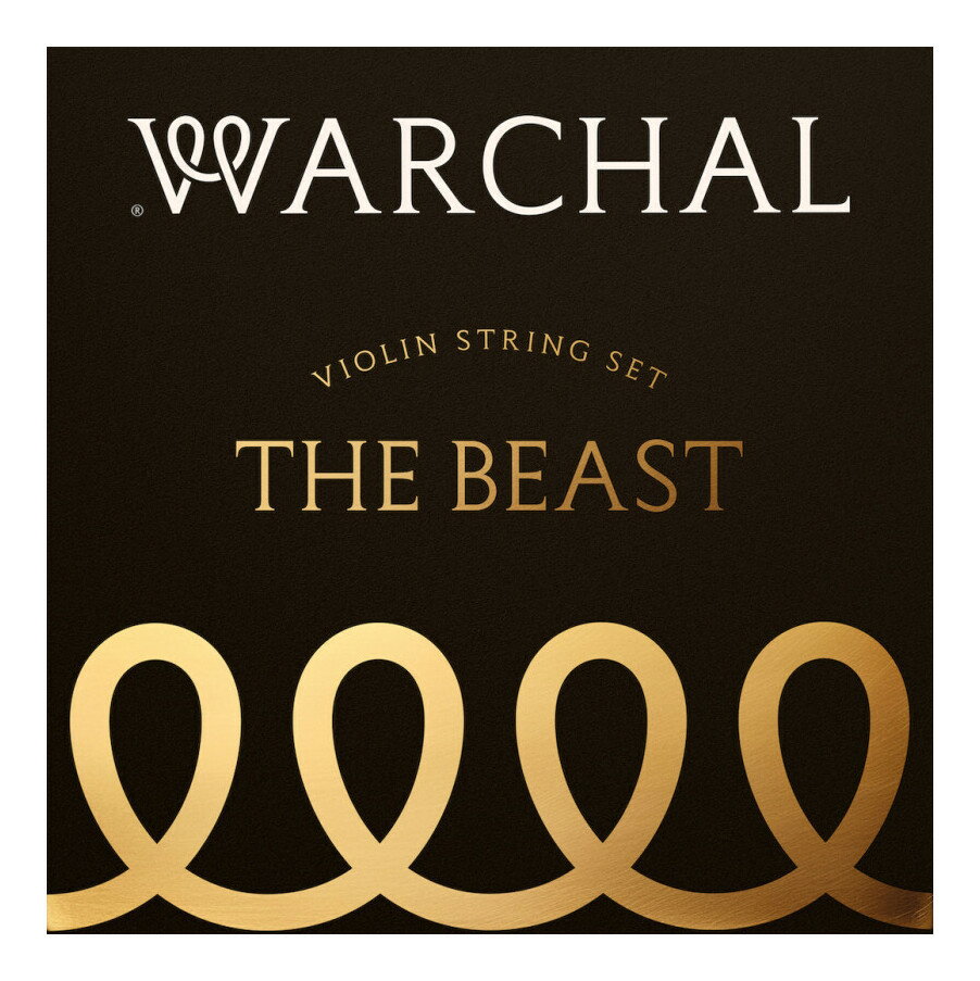 WARCHAL 100L ループエンド THE BEAST ザ ビースト バイオリン弦セット【送料無料】