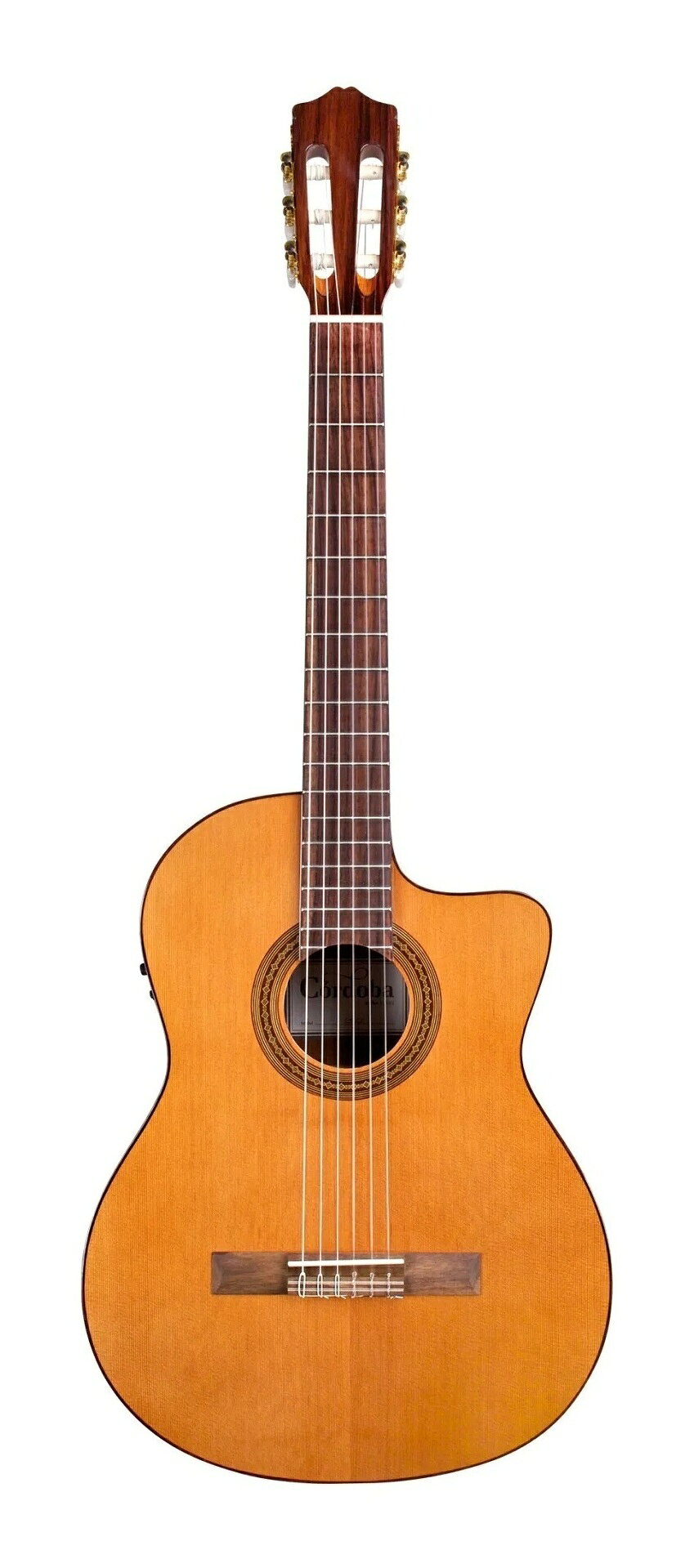楽天市場】cordoba guilele ceの通販