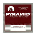 PYRAMID EB NPS .045-.105 ベース弦【送料無料】【ポイント2倍】