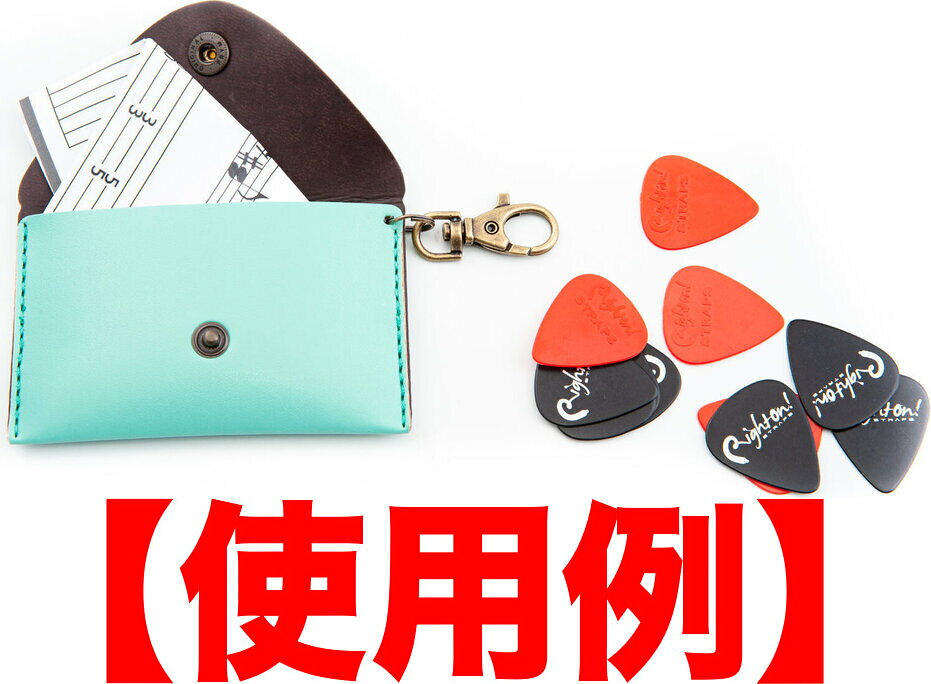 RightOn! STRAPS BIG PICK POUCH PLAIN Surf�ڥ᡼����ȯ������������̵�����������Բġۡڥݥ����5�ܡ�