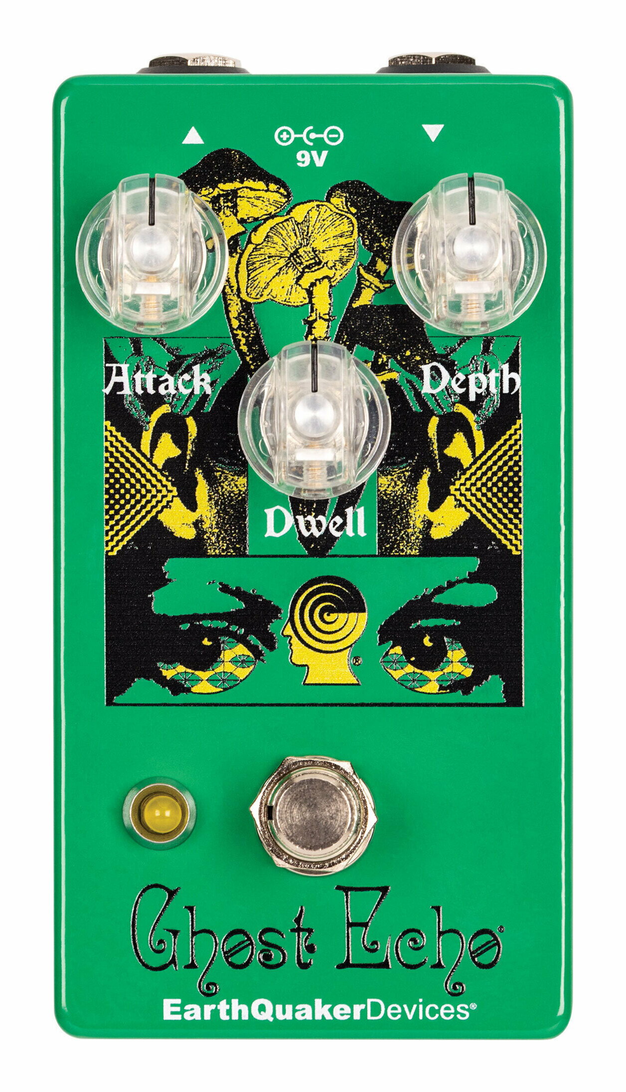 EarthQuaker Devices Brain Dead Ghost Echo ��С���/�����ǥ������̵���ۡڥݥ����10�ܡ�