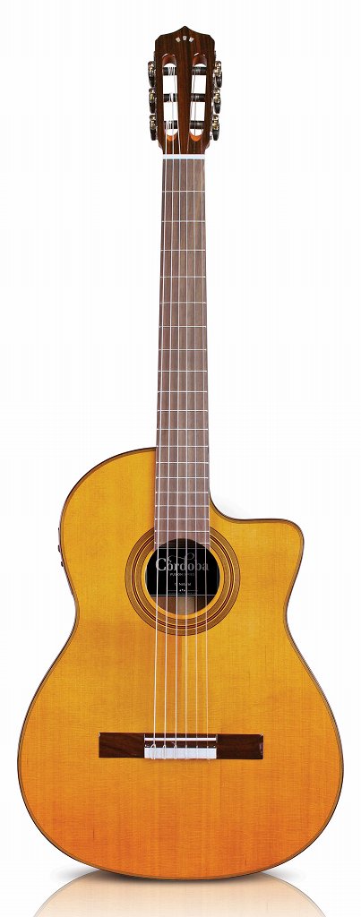 Cordoba 12 Natural エレキギタリストが持つべきエレガット【機材 ...