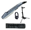 Roland AE-01(スタンド/WSS-100+純正ヘッドホン/RH-5+汎用ソフトケース付) Aerophone mini【送料無料】【smtb-TK】