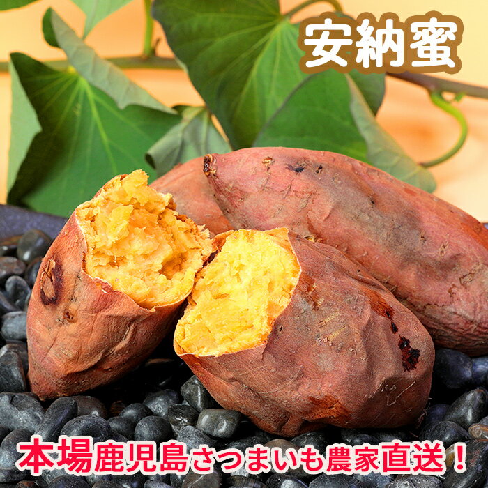 鹿児島さつまいも　安納蜜5kg　桜山ファーム(4)