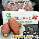 熟成冷やし焼きいも(1kg)