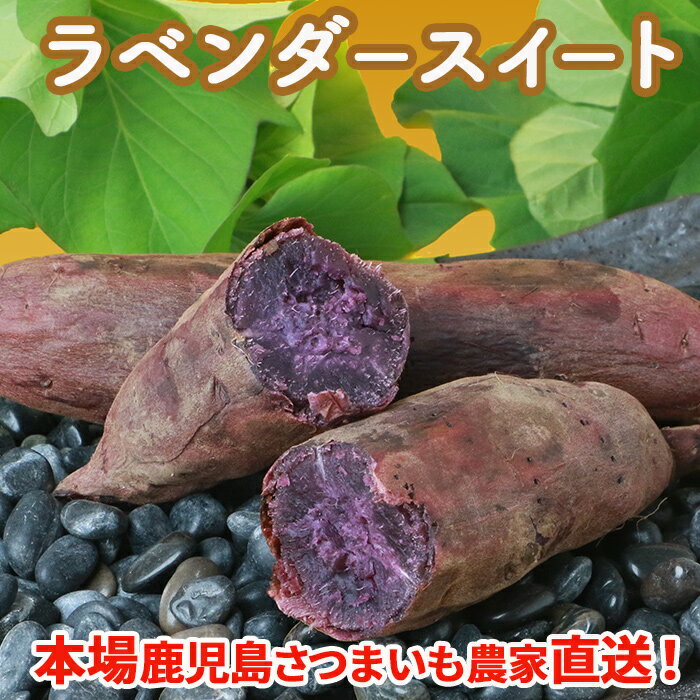 鹿児島さつまいも ラベンダースイート5kg 桜山ファーム