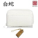パイソン 蛇革 風水 金運 財布 パイソン レザー 【 白蛇 本革 財布 】 メンズ ウオレット 日本製 (角小銭入れ)