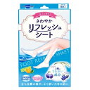 テイコクファルマケア さわやかリフレッシュシート 18枚(6枚×3袋)(4)
