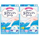 テイコクファルマケア さわやかリフレッシュシート 18枚(6枚×3袋) 2個セット(4)