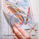くりぴたⓇ壁紙用 ポスターテープ S 20mm 2シート(20片入り) 両面テープ ハロウィン クリスマス 飾りつけ 壁 穴あけずに飾る 傷つけない 掲示用シール 賃貸 公共施 学校 保育園 養護施設 老人ホーム 画鋲不要 ホッチキス不要 ポスター 繰り返し使用可能
