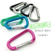 60mmキーホルダー ファッション アウトドアキャンプ D型 旅行 小 旅行 トラベル カラビナd型キャンプやアウトドア ファッションアイテムで大活躍 トラベル 小 カラー さくさくナックス 送料無料 まとめ買いアクセサリー カラビナ 登山 60mmキーホルダー ファッション アウトドアキャンプ D型 旅行 小 旅行 トラベル カラビナd型キャンプやアウトドア ファッションアイテムで大活躍 トラベル 小 カラー さくさくナックス 送料無料 まとめ買いアクセサリー カラビナ 登山