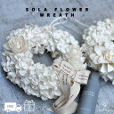 【☆春祝クーポン☆】ドライフラワー ギフト プレゼント リース 御祝 入学 新生活 フレグランスミスト セット SOLA FLOWER ソラフラワー 2025 ...