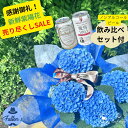 【売り尽くしセール!20%OFF 遅れてごめんね】紫陽花 あじさい アジサイ父の日 花 2025 プレゼント誕生日 御祝 花 プレゼント ギフト おすすめ 鉢物...