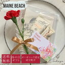 【クーポン】 【国内正規取扱店】 マインビーチ (リグリアンハニー) 母の日カード&カーネーションセット リバーランドオレンジ カカドゥプラム お祝い 誕生日 ...