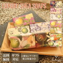 【☆☆マラソンクーポン!☆】イングリッシュソープ 母の日 プレゼント ギフト シアソープ カンパニー ラグジュアリー シアバター入り ハンドソープ ハンドウォッ...