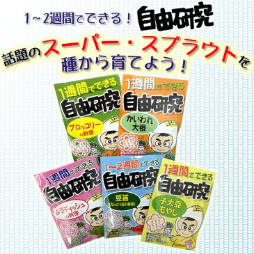 1〜2週間でできる！話題のスーパー・スプラウトを5種を育てよう！【送料無料】ブロッコリーの新芽／かいわれ大根／赤ラディッシュの新芽／豆苗／子大豆もやし　自由研究 工作 キット 観察 宿題 研究 小学生