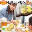 調理不要の常備菜 もやし レモン ドーンと5袋 セット 送料無料 高たんぱく 低糖質 クエン酸 ソイ ...