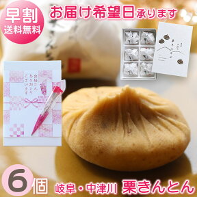 母の日 早割 スイーツ 送料無料 / 栗きんとん 6個 + ミニ カーネーション + メッセージ 掛け紙 / プレゼント ギフト 栗 和菓子 中津川 観光地応援 スイーツセット スイーツギフト 母 お母さん 義母 おかあさん 母の日ギフト