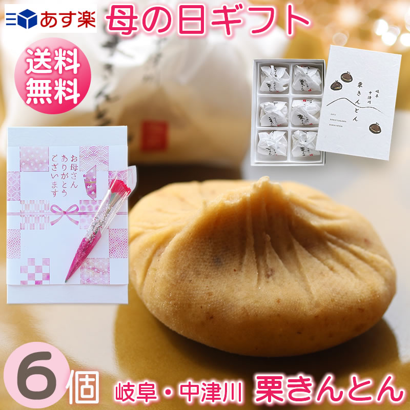 ＼遅れてごめんね！／母の日 スイーツ 送料無料 / 栗きんとん 6個 + ミニ カーネーション + メッセージ 掛け紙 / プレゼント ギフト 栗 和菓子 中津川 観光地応援 スイーツセット スイーツギフト 母 お母さん 義母 おかあさん 母の日ギフト