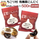 黒にんにく お試し 送料無料 ワンコイン / ちこり村 有機黒にんにく 500円 ポッキリ 初回限定2セットまで / 黒ニンニク 黒大蒜 くろにんにく kuroninnniku にんにく ガーリック 有機 オーガニック 自然食品 メール便 つくり方 発酵黒にんにく 観光地応援 常温 土用の丑 /