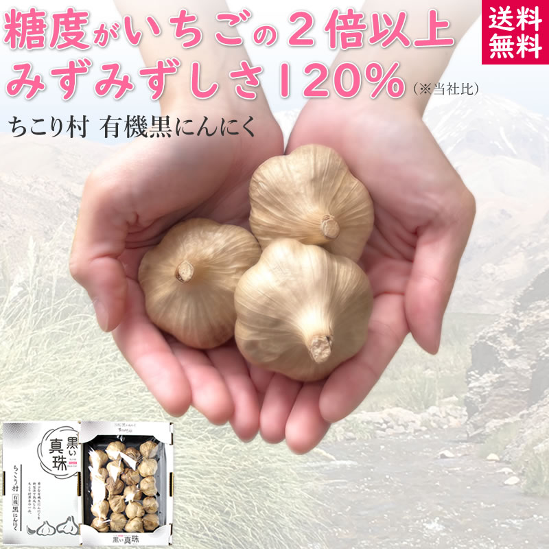 ＼スーパーSALE☆割引／ 【楽天1位】