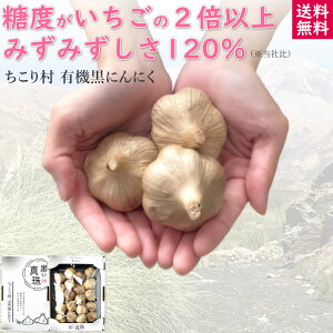 【新製法】甘くて美味しい!敬老の日 ギフト ちこり村 黒い真珠 有機 黒にんにく / プチサイズ 小玉 20玉 4玉 / 国内製造 オーガニック 送料無料 黒ニンニク 黒大蒜 にんにく ガーリック 有機栽培 自然食品 楽天うまいもの大会 出品 NL /