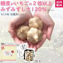 【楽天1位】 【新製法】甘くて美味しい! ちこり村 黒い真珠 有機 黒にんにく / プチサイズ 小玉 20玉 4玉 / 国内製造 オーガニック 送料無料 黒ニン...
