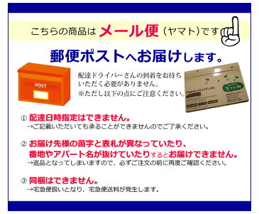 話題のスーパー スプラウト を5種を育てよう！ 送料無料 / ブロッコリーの新芽 （ ブロッコリースプラウト ） / かいわれ大根 / 赤ラディッシュの新芽 / 豆苗 / 子大豆もやし