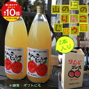 【フルーツ名産地 南信州 松川産 りんご100%】 美味しい りんご ジュース 果汁100% 送料無料 /山の上の りんごジュース ストレート 1000ml×2...