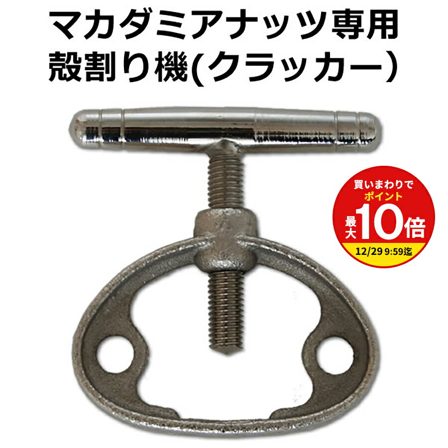 【まとめ買いで最大P10倍！※要エン