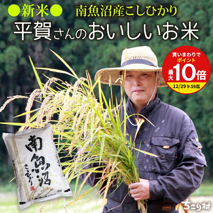 【まとめ買いで最大P10