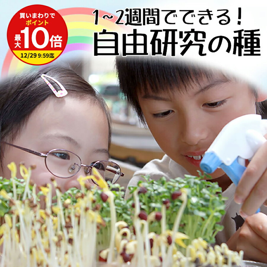 スプラウト 生産者の安全・安心な種！ 豆苗 とうみょ