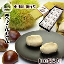 和菓子 栗きんとん 中津川 送料無料 新杵堂 10個箱入/ お取り寄せグルメ ギフト プレゼント お取り寄せ ご当地 スイーツ 秋スイーツ お中元 お歳暮 和菓子 お菓子 帰省 手土産 お土産 ご贈答 お祝い 御祝 岐阜 GN/ 3