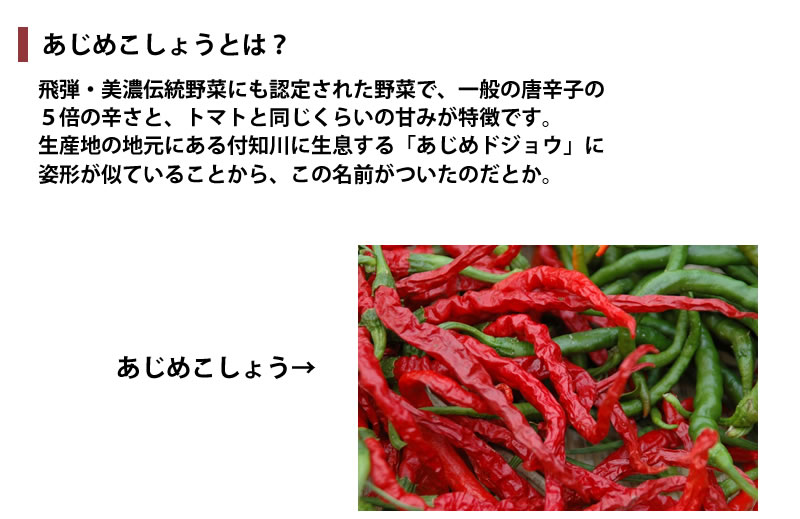 ���㤤�ޤ��Ǻ���P10�ܡ����ץ���ȥ꡼�ۡ������ѡ�SALE��Ⱦ�ۥ����ॻ���롿 �ץ����ե� �¥������� ���줫���Ȥ� �����ᤳ���礦̣ /�ѥ���θ����� �ݿ� �������� /