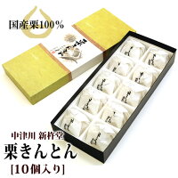 和菓子 栗きんとん 中津川 送料無料 新杵堂 10個箱入/ お取り寄せグルメ ギフト プ...