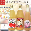 贈り物におすすめ 信州産りんご100%ジュースと桃ジュース セット 送料無料 / 果汁100% 南信州松川産 りんご ジュース ストレート & すりおろし 10...