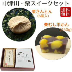 栗 スイーツ セット 送料無料 / 栗きんとん 中津川 6個入 ＋ 栗むし羊羹 1本（350g） ギフト プレゼント 秋グルメ 栗 和菓子 スイーツ 贈答 サラダコスモ お取り寄せグルメ 秋スイーツ GN