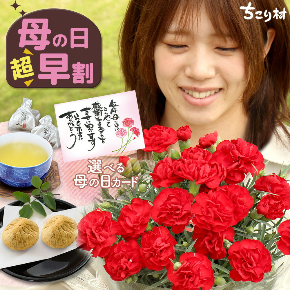 【高評価★4.78】 母の日ギフト カーネーション 5号 花