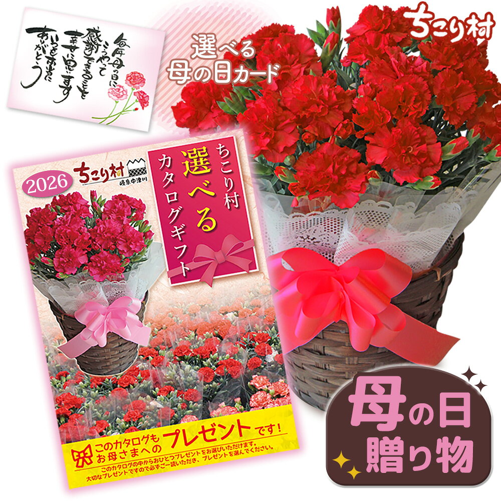 ＼お母さんに喜ばれる／ カタログギフト ちこり村 母の日 セット 豪華 カーネーション 5号 鉢 ＋ ...