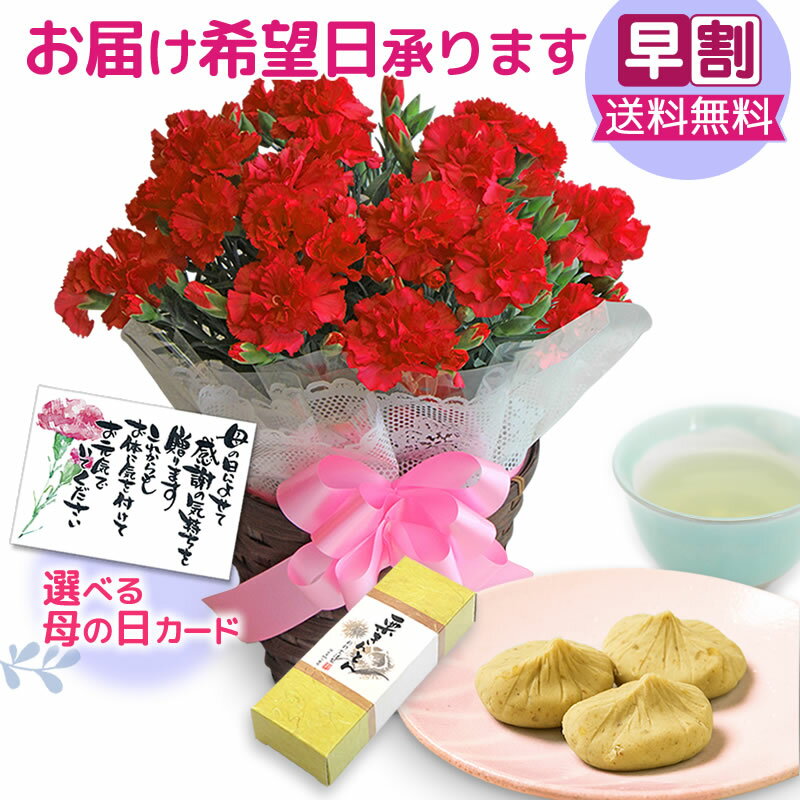 【昨年早期完売】母の日ギフト 早割 和 スイーツ セット / 中津川ふるさと自慢の 和菓子 栗きんとん と 豪華 カーネーション 5号 のセット メッセージカード付 / 送料無料 鉢植え 5号鉢 母の日 ギフト プレゼント 鉢花 花 花鉢 日付指定可 / お母さん 母 mother 義母