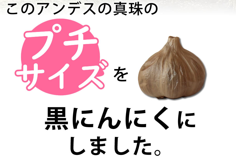 黒にんにく ちこり村 有機 うまい小玉 / アンデスの黒真珠 プチサイズ 500g(32玉目安) / オーガニック 送料無料 黒ニンニク 黒大蒜 にんにく ガーリック 有機栽培 自然食品