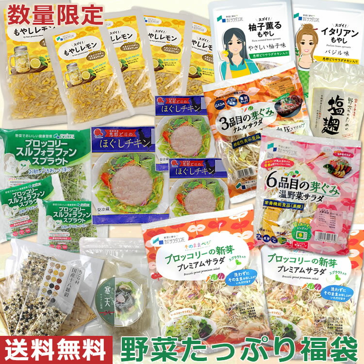 【ダイエット応援】 野菜 たっぷり 福袋 送料無料 /11種類20袋入 サラダチキン ブロッコリースプラウトプレミアムサラダ 温野菜 ナムルサラダ 寒天 もやしレモン プレミアム 柚子 バジル 雑穀 塩こうじ / 置き換え 高たんぱく 低糖質 冷蔵 sprout /のサムネイル